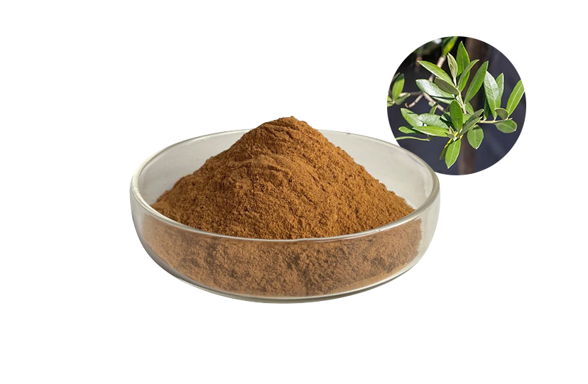 Oleuropein Extract